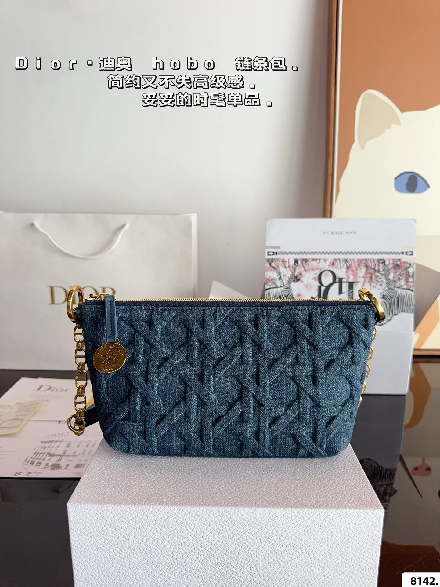 DR469 Diorstar Hobo Bag with Chain / 8.5x5.5x4nches