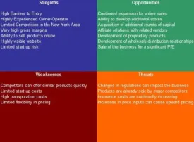 Shopping Center SWOT Analysis Plus Business Plan